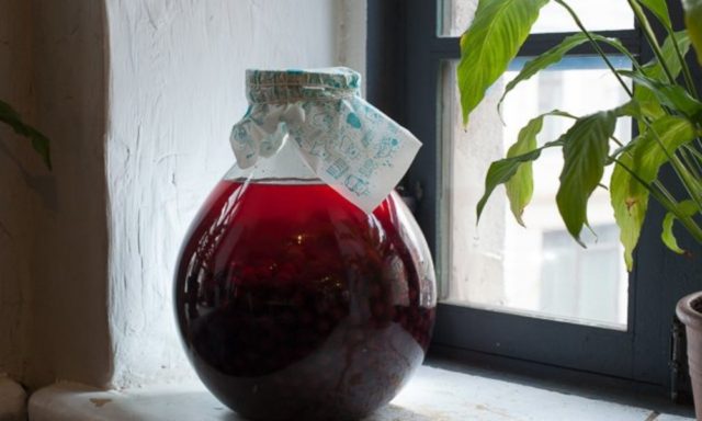 Как сделать настойку из черемухи на спирте, водке в домашних условиях